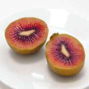 ヒメ日記 2026/04/04 10:04 投稿 森村 熟女の風俗最終章 横浜本店