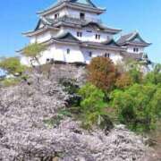 ヒメ日記 2026/04/04 15:44 投稿 森村 熟女の風俗最終章 横浜本店