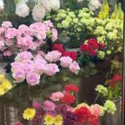 ヒメ日記 2026/04/11 12:10 投稿 森村 熟女の風俗最終章 横浜本店