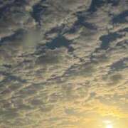 ヒメ日記 2026/04/14 06:54 投稿 森村 熟女の風俗最終章 横浜本店