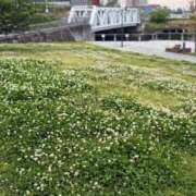 ヒメ日記 2026/04/29 07:34 投稿 森村 熟女の風俗最終章 横浜本店