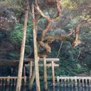 ヒメ日記 2025/11/05 22:22 投稿 みな 小山人妻隊