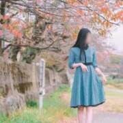 ヒメ日記 2025/05/27 11:08 投稿 千冬 カレン 名古屋貴楼館