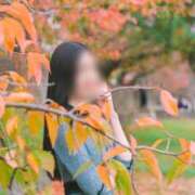 ヒメ日記 2025/06/06 14:18 投稿 千冬 カレン 名古屋貴楼館