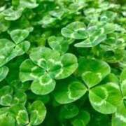 ヒメ日記 2025/10/04 07:55 投稿 れいこ 熟女総本店