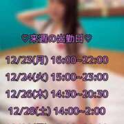 ヒメ日記 2024/12/20 12:03 投稿 ゆうみ 横浜シンデレラ（シンデレラグループ）