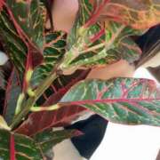 ヒメ日記 2025/09/12 15:59 投稿 ゆうみ 横浜シンデレラ（シンデレラグループ）