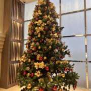 ヒメ日記 2024/12/21 12:43 投稿 なつき 品川ソフトスタイル(ユメオト)