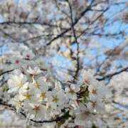 ヒメ日記 2025/03/28 20:53 投稿 なつき 品川ソフトスタイル(ユメオト)