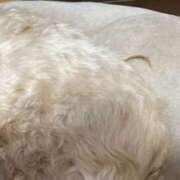 ヒメ日記 2026/02/25 20:38 投稿 ゆうな 渋谷FLAMINGO