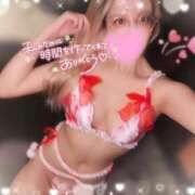 ヒメ日記 2025/10/20 11:23 投稿 まみ Flower（フラワー）