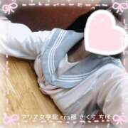 ヒメ日記 2025/06/29 17:04 投稿 佐倉 ちほ アリス女学院 日本橋校