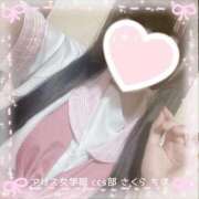 ヒメ日記 2025/11/12 17:01 投稿 佐倉 ちほ アリス女学院 日本橋校