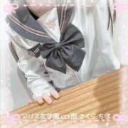 ヒメ日記 2025/11/24 17:50 投稿 佐倉 ちほ アリス女学院 日本橋校