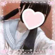 ヒメ日記 2026/01/29 18:58 投稿 佐倉 ちほ アリス女学院 日本橋校