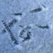 ヒメ日記 2025/02/08 10:03 投稿 ☆なごみ(22)☆ ◆プラウディア◆AAA級素人娘在籍店