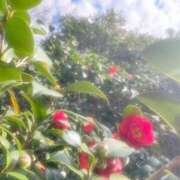 ヒメ日記 2025/03/01 09:30 投稿 ☆なごみ(22)☆ ◆プラウディア◆AAA級素人娘在籍店