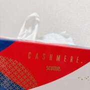 ヒメ日記 2025/03/09 23:52 投稿 ☆なごみ(22)☆ ◆プラウディア◆AAA級素人娘在籍店