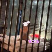 ヒメ日記 2025/07/08 15:00 投稿 ☆なごみ(22)☆ ◆プラウディア◆AAA級素人娘在籍店