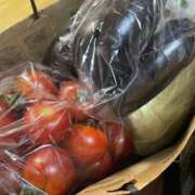 ヒメ日記 2025/07/20 18:30 投稿 ☆なごみ(22)☆ ◆プラウディア◆AAA級素人娘在籍店