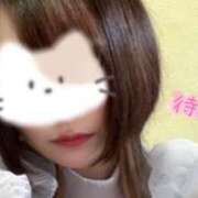 ヒメ日記 2025/01/03 02:58 投稿 おしの お姉ちゃんゴメンね