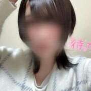 ヒメ日記 2025/01/16 00:15 投稿 おしの お姉ちゃんゴメンね