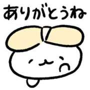 ヒメ日記 2025/01/26 04:04 投稿 おしの お姉ちゃんゴメンね