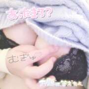 ヒメ日記 2026/03/20 20:22 投稿 なぎさ ちゃんこ長野塩尻北IC店