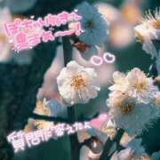 ヒメ日記 2026/04/07 15:09 投稿 なぎさ ちゃんこ長野塩尻北IC店