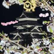 ヒメ日記 2026/04/10 08:31 投稿 なぎさ ちゃんこ長野塩尻北IC店