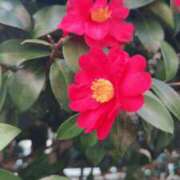 ヒメ日記 2025/03/11 13:27 投稿 かんな 奥様メモリアル