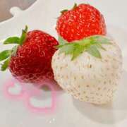 ヒメ日記 2025/04/30 12:12 投稿 かんな 奥様メモリアル