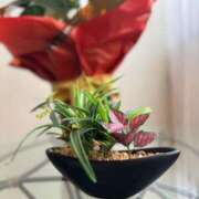 ヒメ日記 2025/09/02 11:39 投稿 かんな 奥様メモリアル