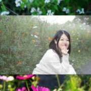 ヒメ日記 2025/03/17 12:12 投稿 ひまり 素人系イメージSOAP 彼女感 宇都宮本館