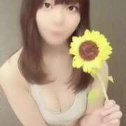 ヒメ日記 2025/08/17 09:35 投稿 ひまり 素人系イメージSOAP 彼女感 宇都宮本館