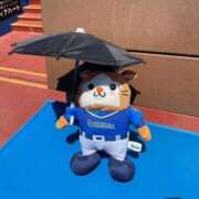 ヒメ日記 2025/07/16 13:21 投稿 しょう 人妻小旅行