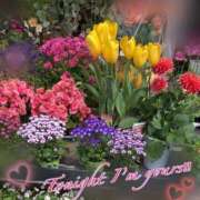 ヒメ日記 2025/03/26 00:01 投稿 星乃えみ YUDEN〜油殿〜谷九・日本橋店