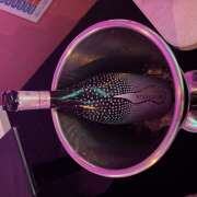 ヒメ日記 2025/03/19 19:16 投稿 てん ∞ (はっち)