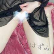 ヒメ日記 2025/04/28 23:15 投稿 ほずみ 無我（むが）