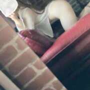 ヒメ日記 2025/08/12 11:59 投稿 ほずみ 無我（むが）