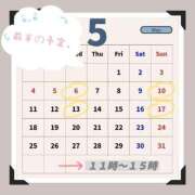 ヒメ日記 2026/04/25 20:53 投稿 ほずみ 無我（むが）