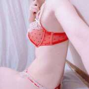 ヒメ日記 2024/12/14 08:00 投稿 ゆめ マダム可憐