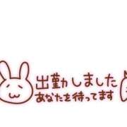 ヒメ日記 2025/04/21 11:28 投稿 なつき Mrs Sirena（ミセスシレナ）