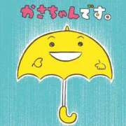 ヒメ日記 2024/03/26 08:06 投稿 みほ 新宿・新大久保おかあさん