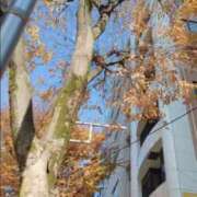 ヒメ日記 2024/12/22 09:35 投稿 みほ 新宿・新大久保おかあさん