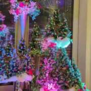 ヒメ日記 2024/12/26 00:05 投稿 みほ 新宿・新大久保おかあさん