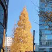 ヒメ日記 2024/12/27 08:25 投稿 みほ 新宿・新大久保おかあさん