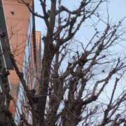 ヒメ日記 2025/02/26 08:20 投稿 みほ 新宿・新大久保おかあさん