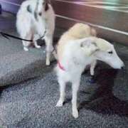 ヒメ日記 2025/03/06 08:20 投稿 みほ 新宿・新大久保おかあさん