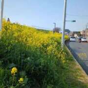 ヒメ日記 2025/03/23 15:40 投稿 みほ 新宿・新大久保おかあさん